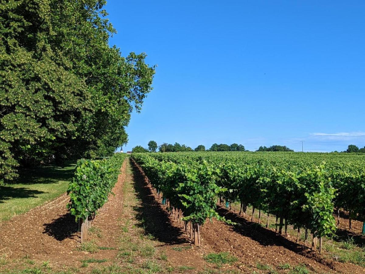 Gite Charmant Au Coeur D'Un Chateau Historique Avec Parc, Proche De Cognac, Ideal Famille Et Nature - Fr-1-653-167 Cherves-de-Cognac Eksteriør bilde